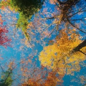 Meet your Posher, Tabitha